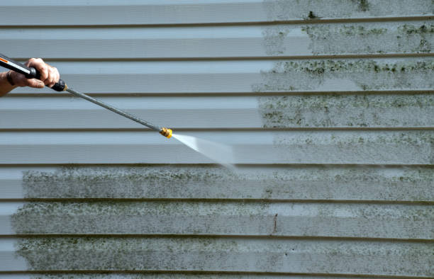 Best Office Mold Removal Services  in Carson City, MI