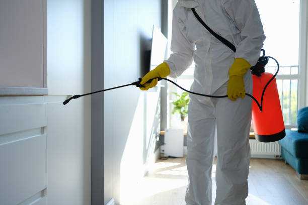 Best Residential Mold Removal  in Carson City, MI