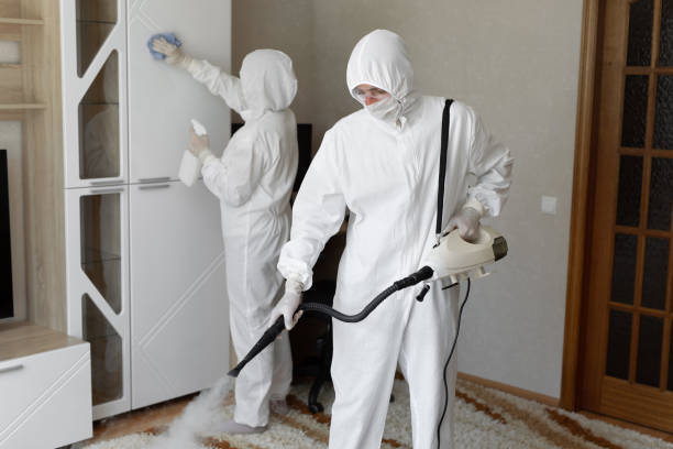 Best Crawl Space Mold Removal  in Carson City, MI