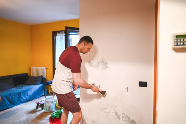Best Home Mold Removal  in Carson City, MI